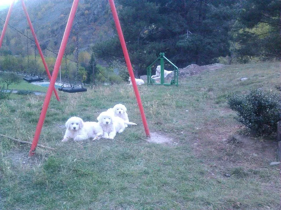Campsite Camping Serra Lladorre Spain